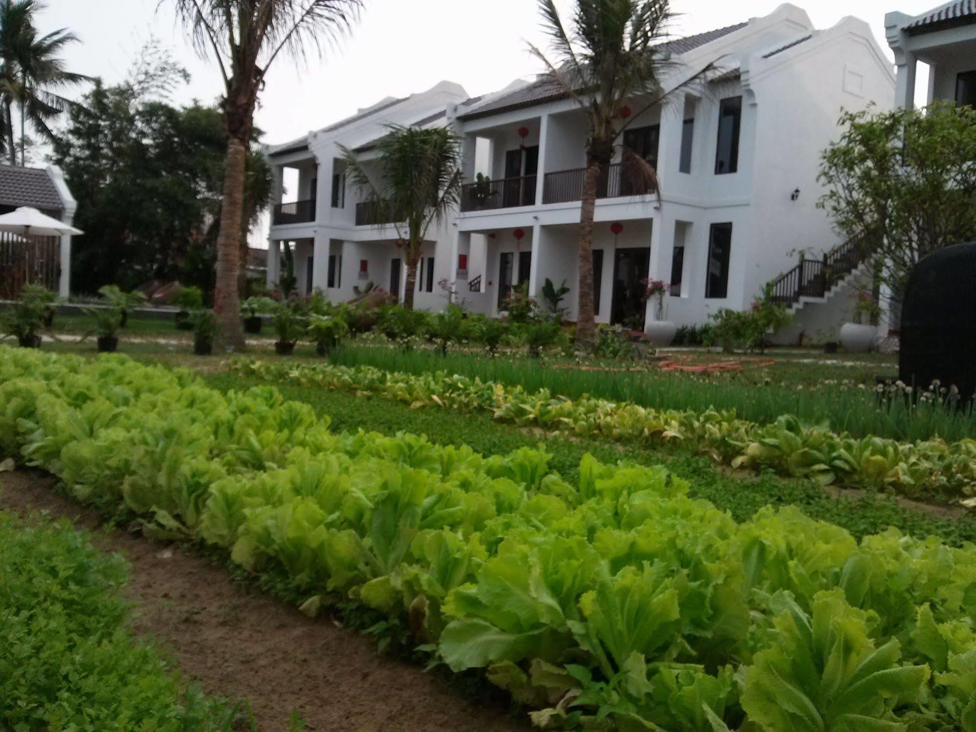 Gem Hoi An Villa Bagian luar foto